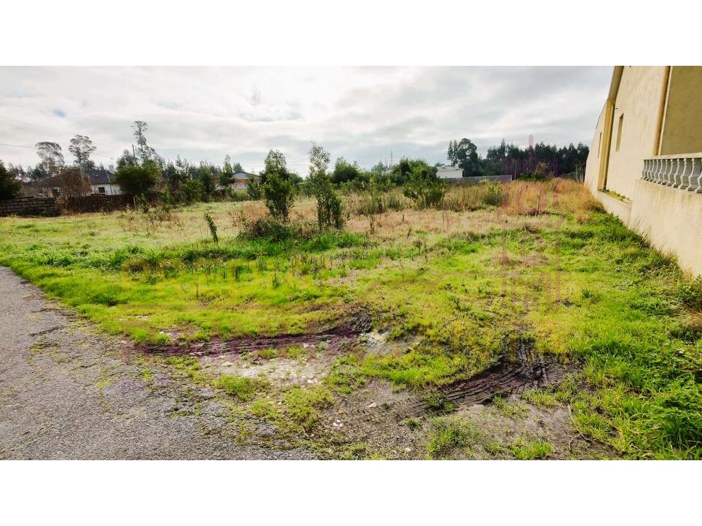 Terreno para construção com 2 artigos- Calvão-Vagos-Aveiro - Grande imagem: 2/8