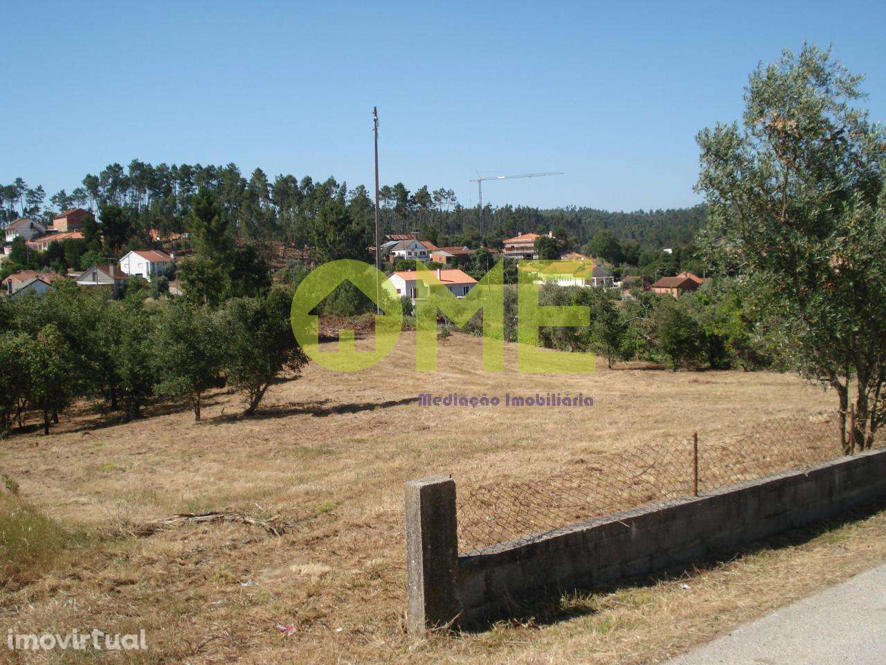 Terreno para construção, a 5 min de Caxarias - Grande imagem: 2/5