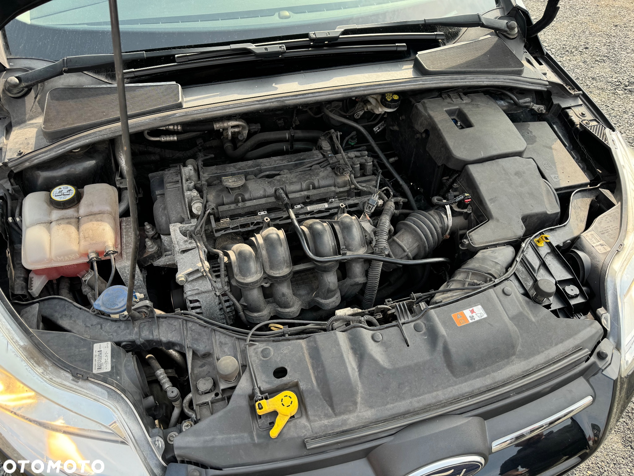 Ford Focus 1.6 Trend - 11