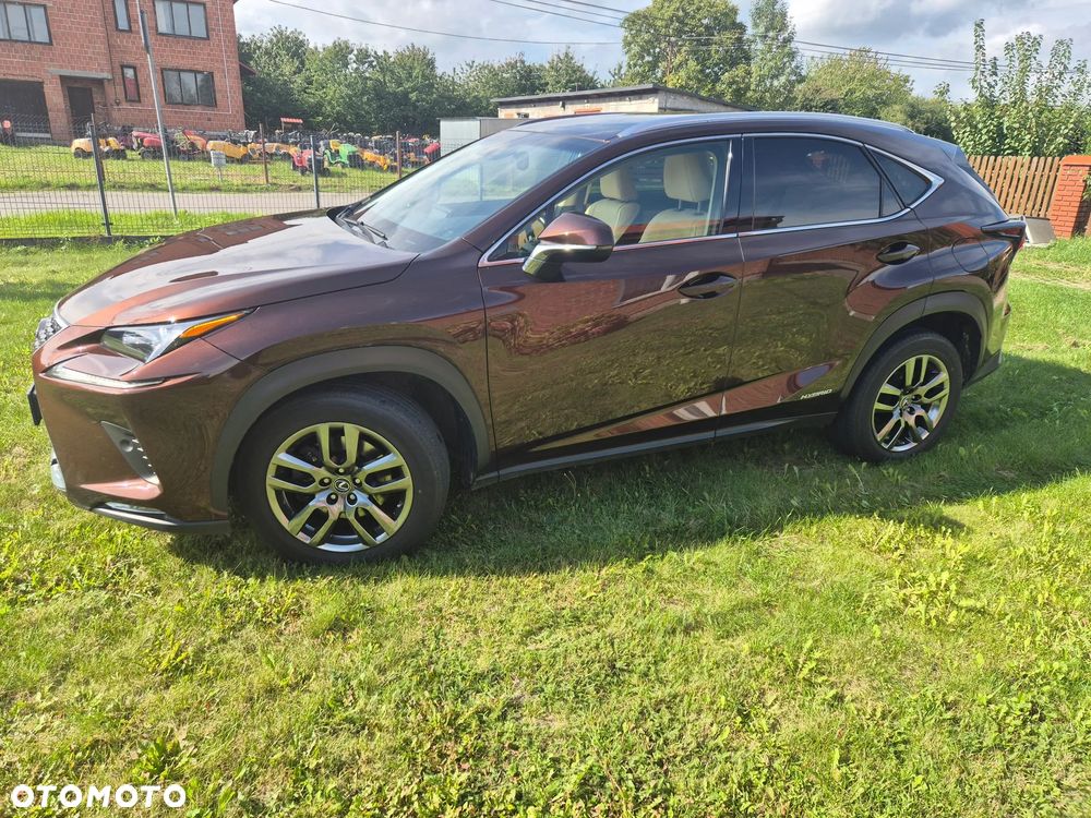 Lexus NX