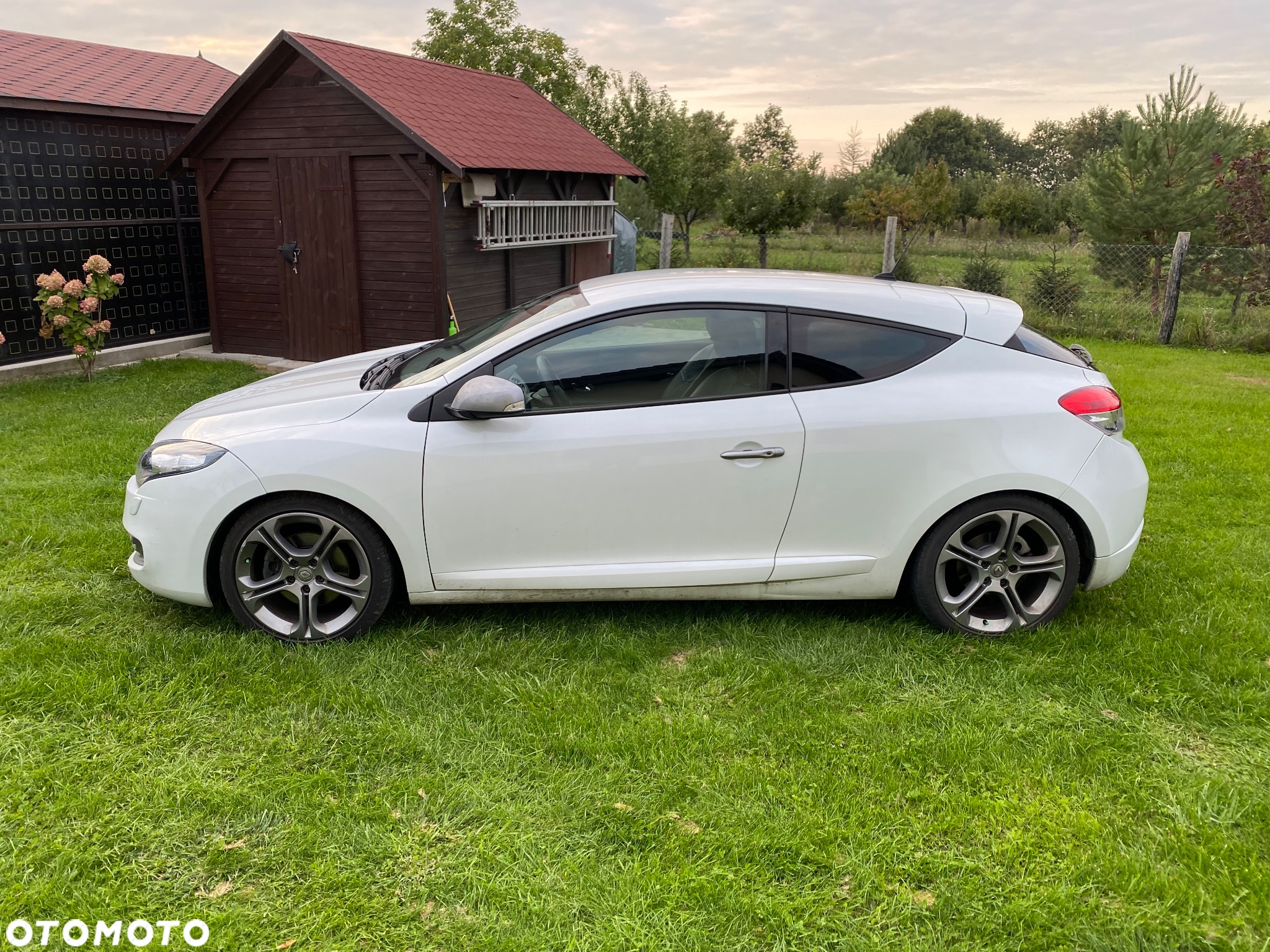 Renault Megane - 5