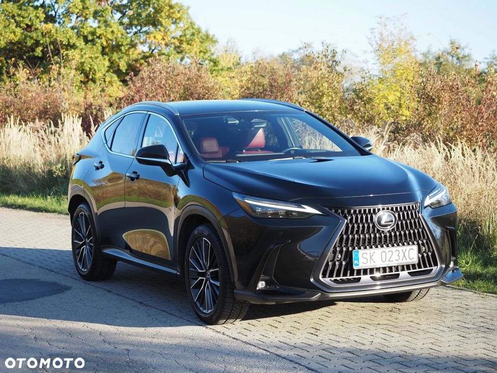 Lexus NX - 1