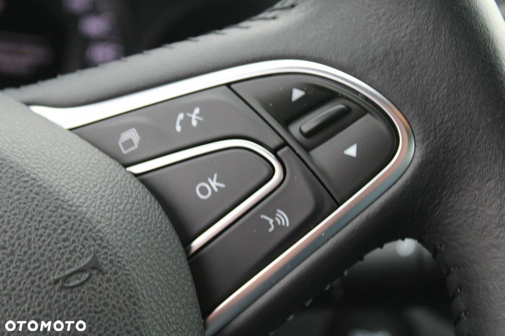 Renault Megane - 18