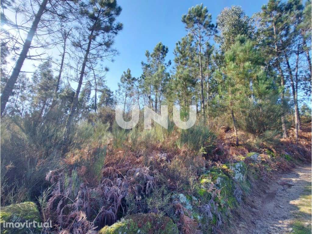 Terreno Rústico - Possibilidade de Construção - Grande imagem: 4/12