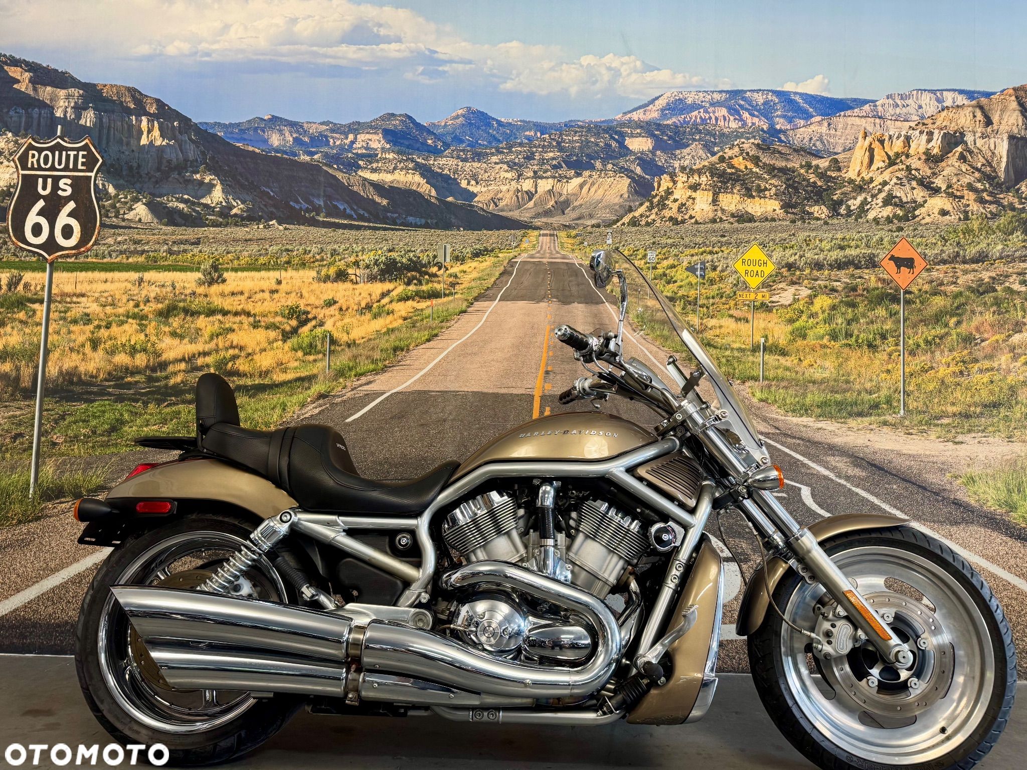 Harley-Davidson V-Rod Street Rod - 1