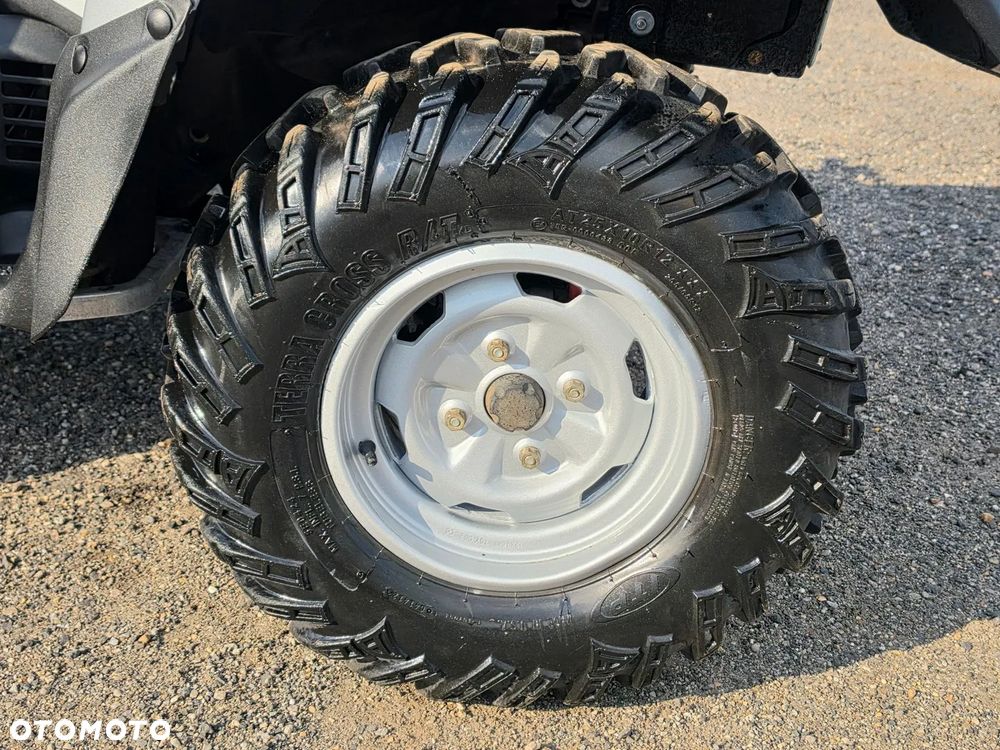 Suzuki Kingquad - 13