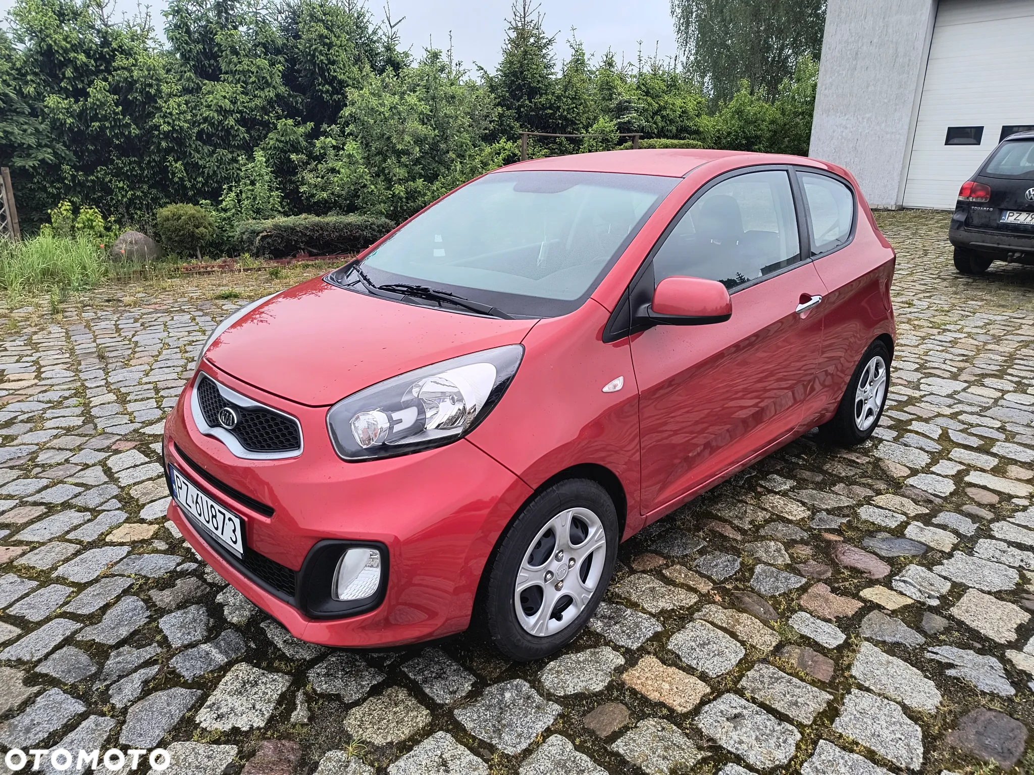 Kia Picanto 1.0 Business Line - 2