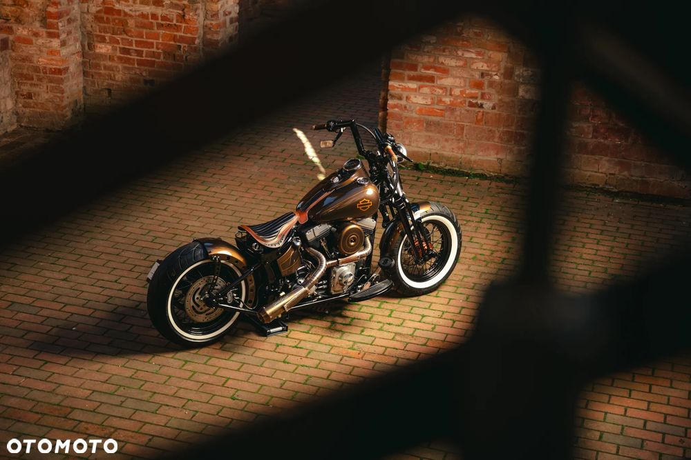 Harley-Davidson Softail Cross Bones - 15