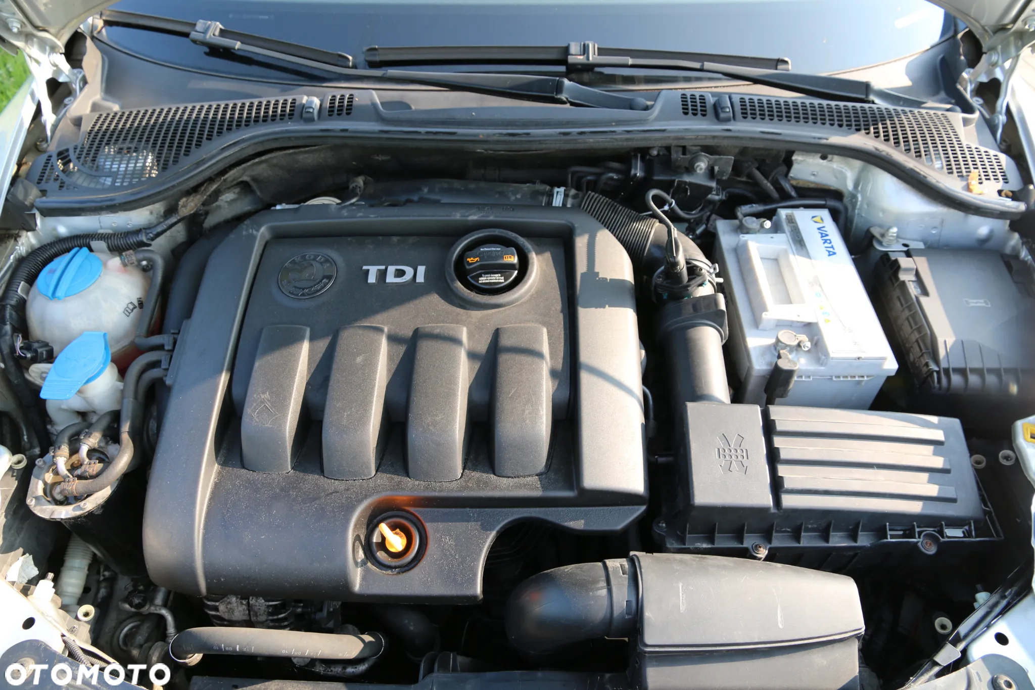 Skoda Octavia 1.9 TDI Ambiente - 39
