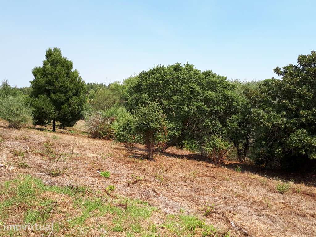 Terreno para Venda em Sintra - Grande imagem: 4/60