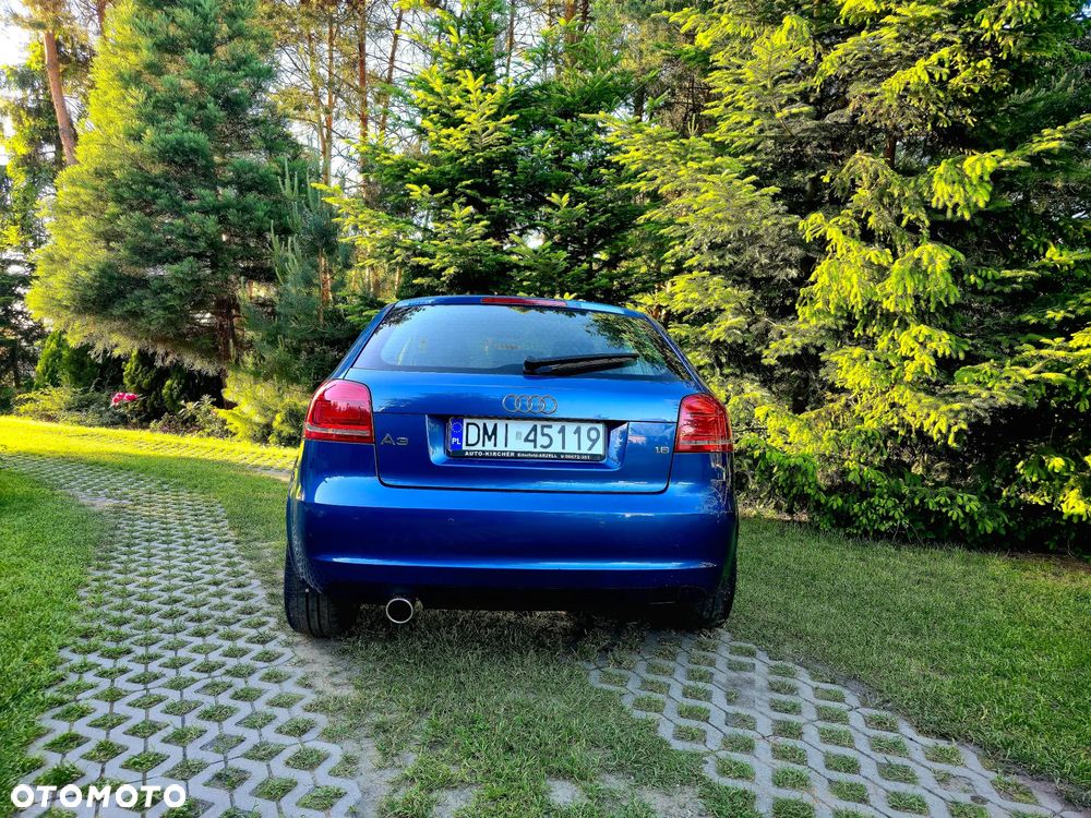 Audi A3 3-drzwiowe 1.6 FSI Ambition - 11