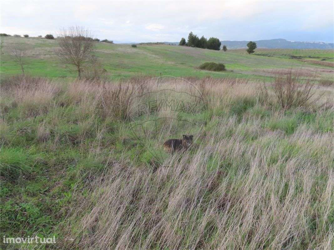 Quinta T0 para venda - Grande imagem: 4/21