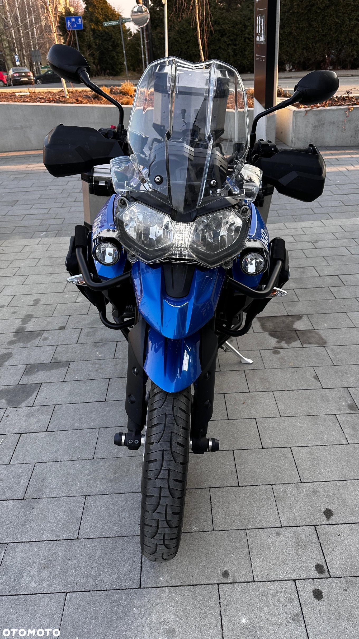 Triumph Tiger - 17