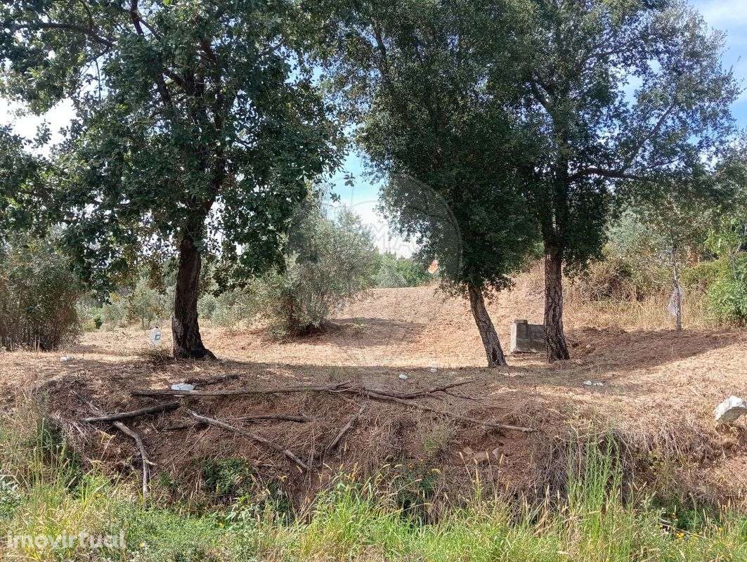 Terreno  para venda - Grande imagem: 3/6