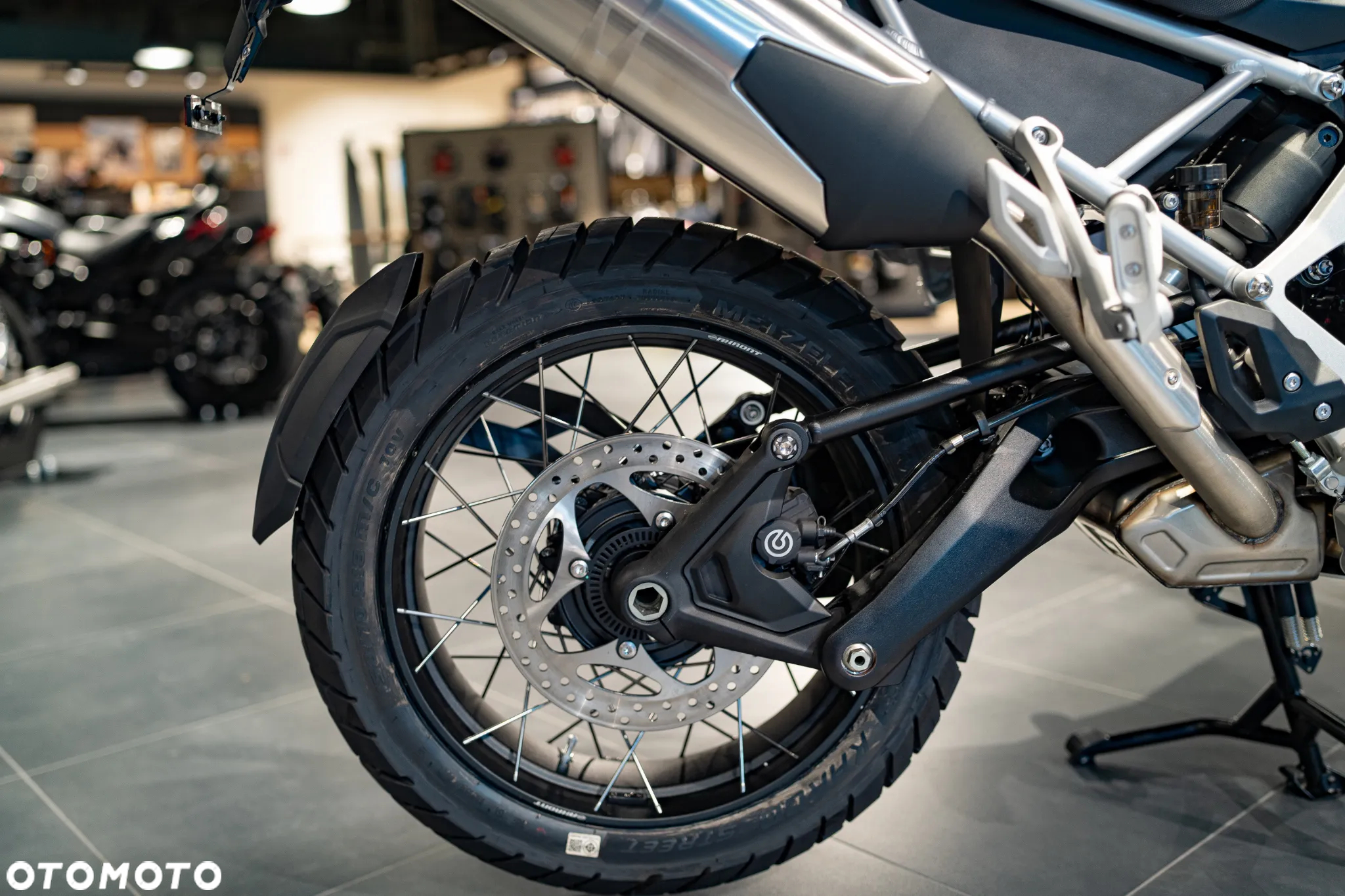 Triumph Tiger - 11
