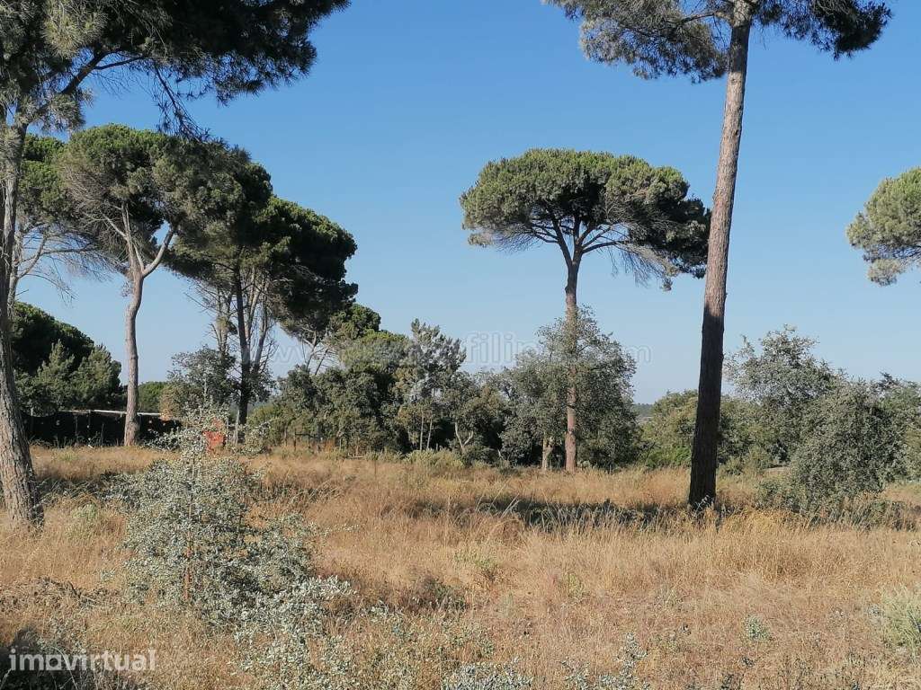 Terreno para cosntrução na Lagoa de Albufeira - Grande imagem: 2/6