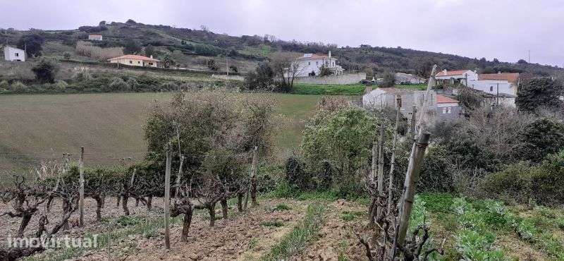 Quinta pequena- Sobral de Monte Agraço - Grande imagem: 4/9