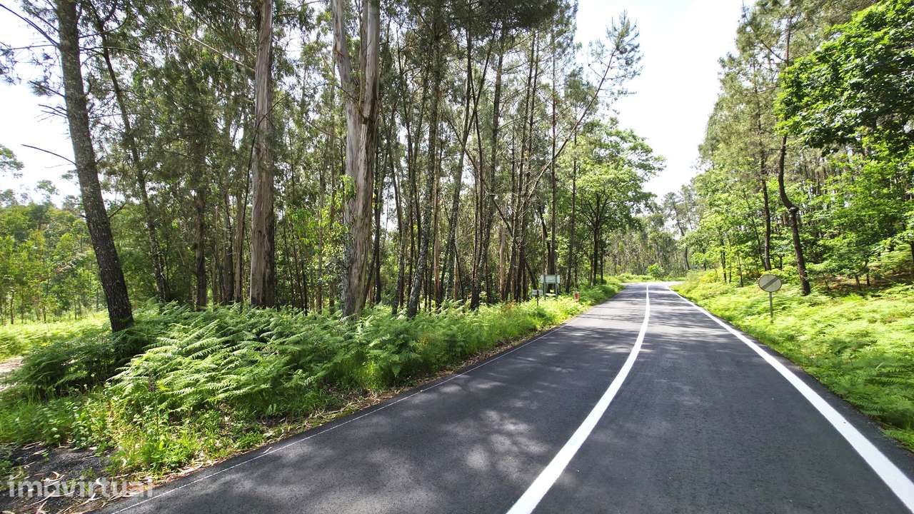 Terreno p/ construção Fervença Celorico de Basto - Grande imagem: 4/8
