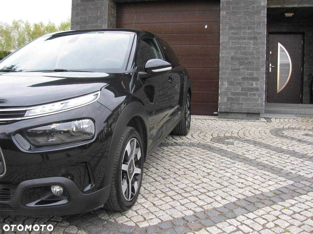 Citroën C4 Cactus PureTech 110 Stop&Start Live - 31