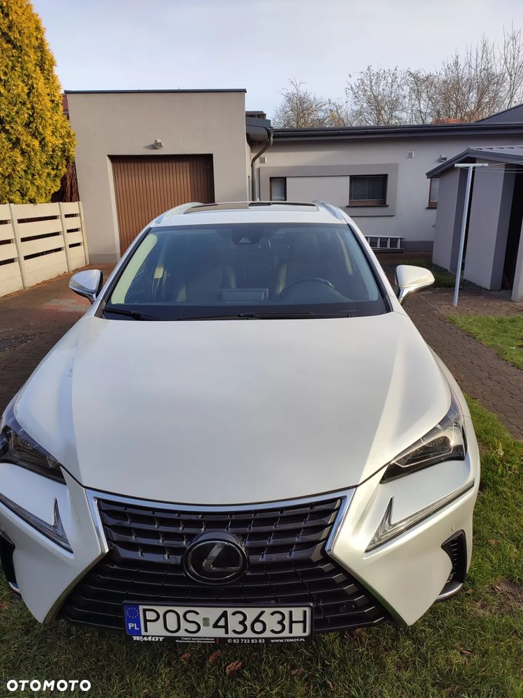 Lexus NX 300 - 31