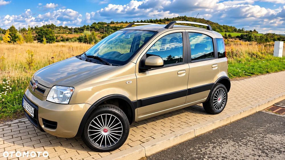 Fiat Panda 1.2 4x4 Climbing - 1