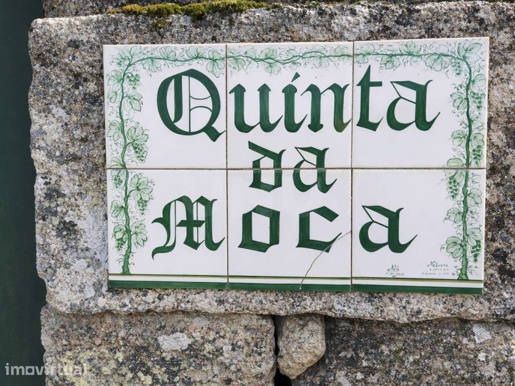 ATIVO TURÍSTICO + QUINTA DE EXCEÇÃO NA BEIRA ALTA - Grande imagem: 4/60