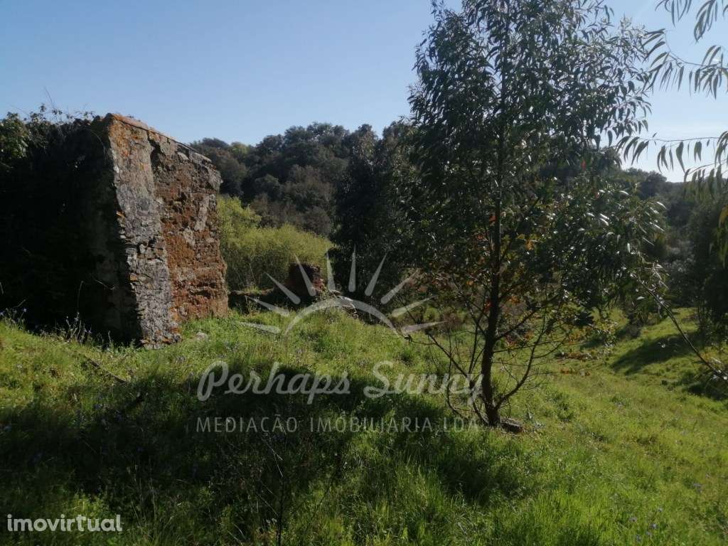 Quinta com casas para recuperar - Grande imagem: 5/47