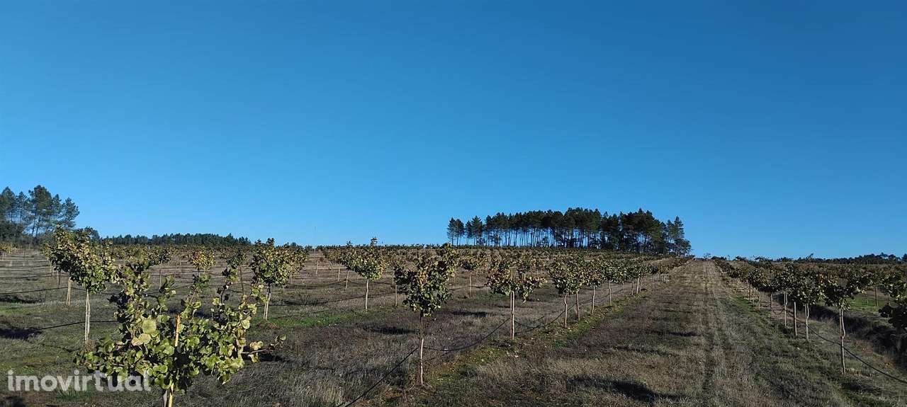 Quinta - Grande imagem: 2/13