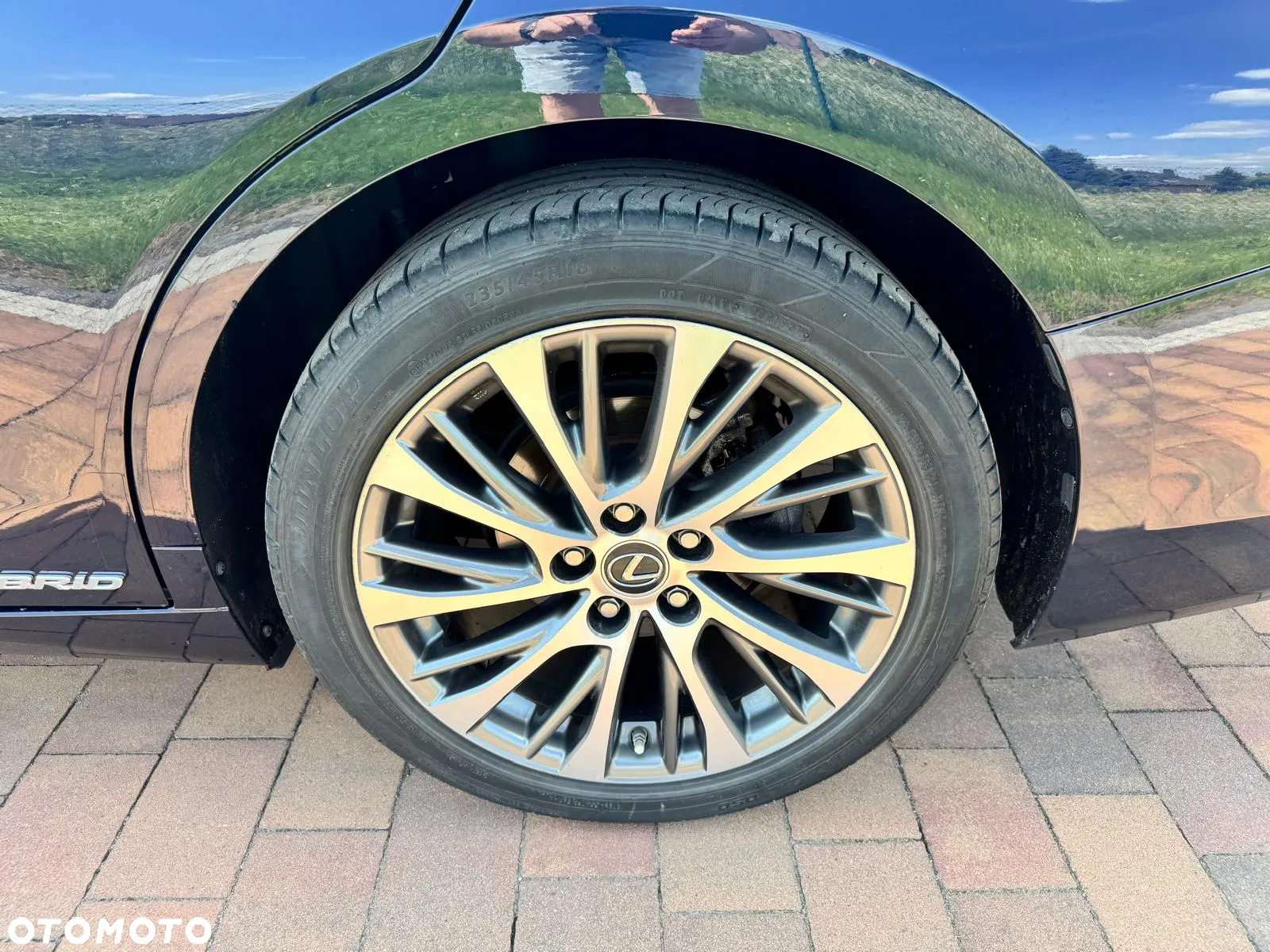 Lexus ES 300h Business Edition + - 5
