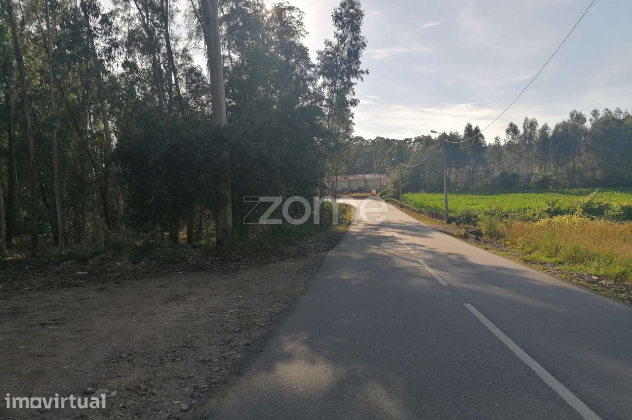 Terreno rustico com 25.000 M2 em Fradelos Famalicão - Grande imagem: 2/15
