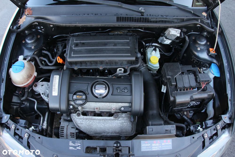 Seat Ibiza - 38