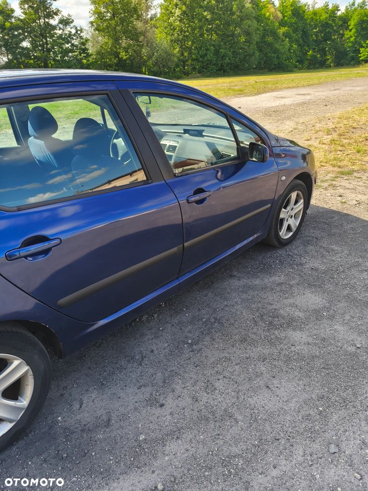 Peugeot 307 2.0 HDi XS - 8