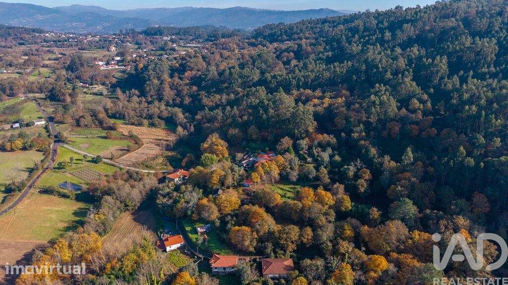 Terreno em Esqueiros, Nevogilde e Travassós - Grande imagem: 4/7