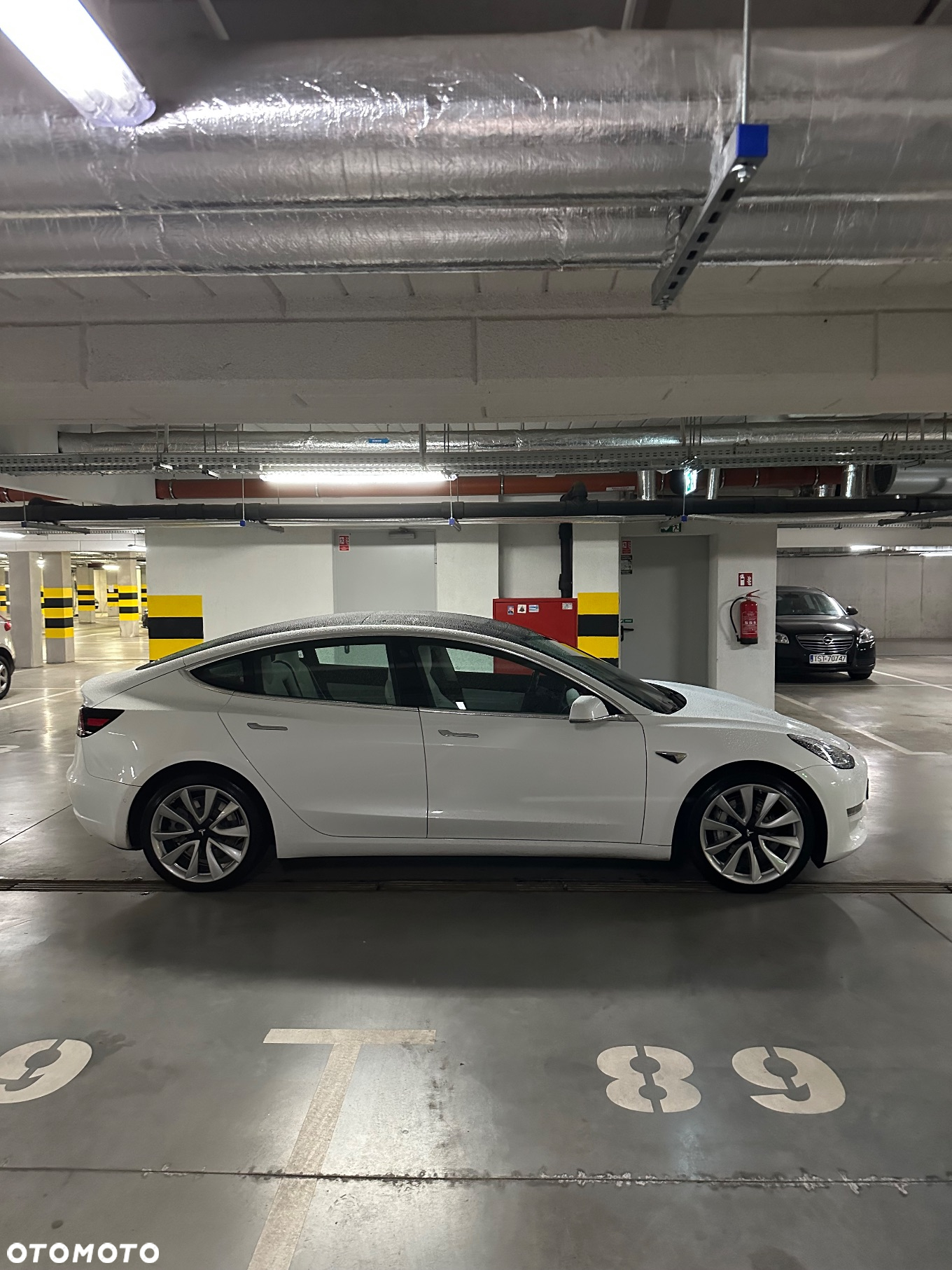 Tesla Model 3 Langstreckenbatterie Allradantrieb Dual Motor - 3
