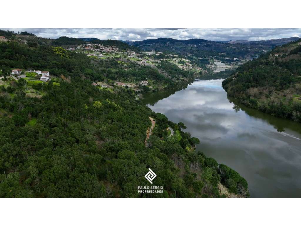 Terreno de 22.000m2 junto ao rio Douro Já teve projeto aprovado par... - Grande imagem: 3/14