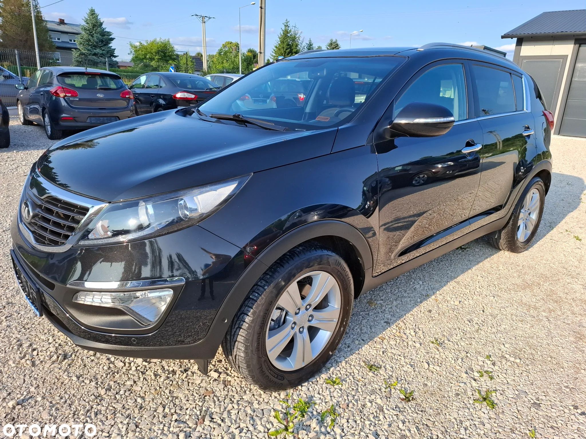 Kia Sportage - 1