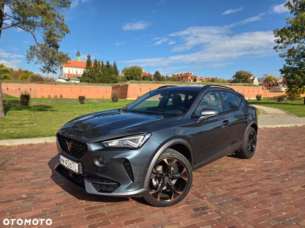Cupra Formentor 2.0 TSI 4Drive DSG - 21