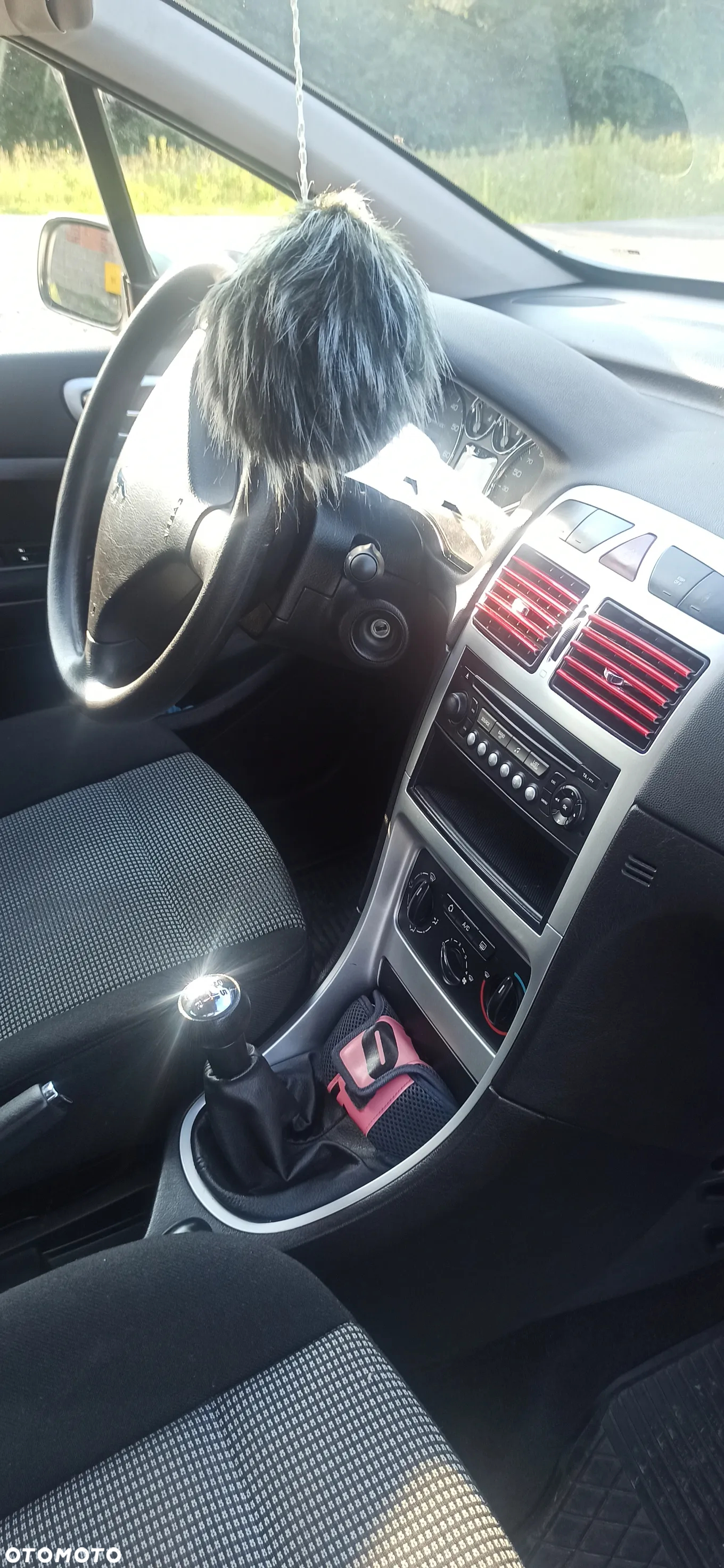 Peugeot 307 - 10