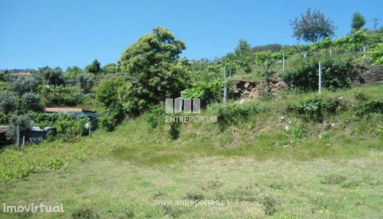 Venda Terreno, Nespereira, Cinfães - Grande imagem: 3/8