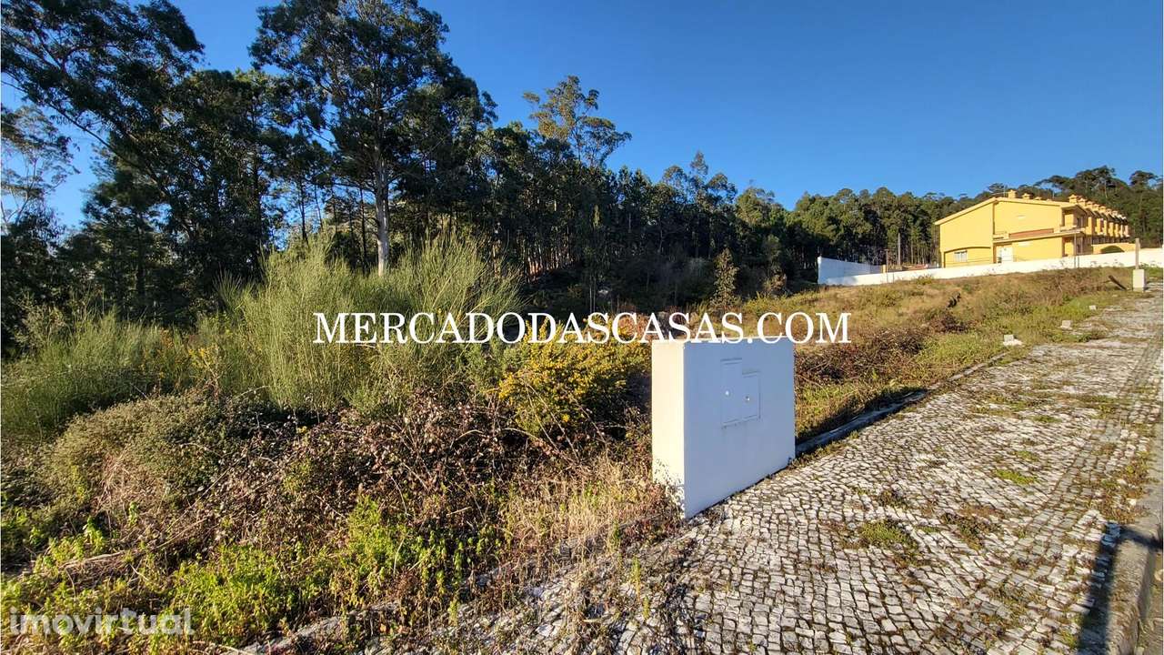 Vários lotes a partir de 25 mil euros, Fajões - Grande imagem: 3/6