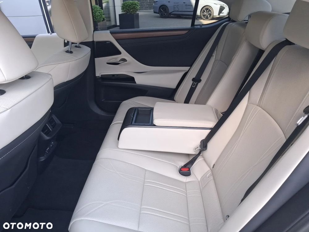 Lexus ES 300h Prestige - 14