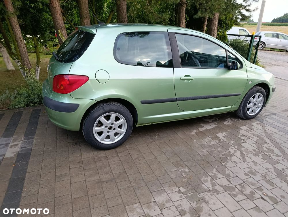 Peugeot 307 110 Grand Filou - 22