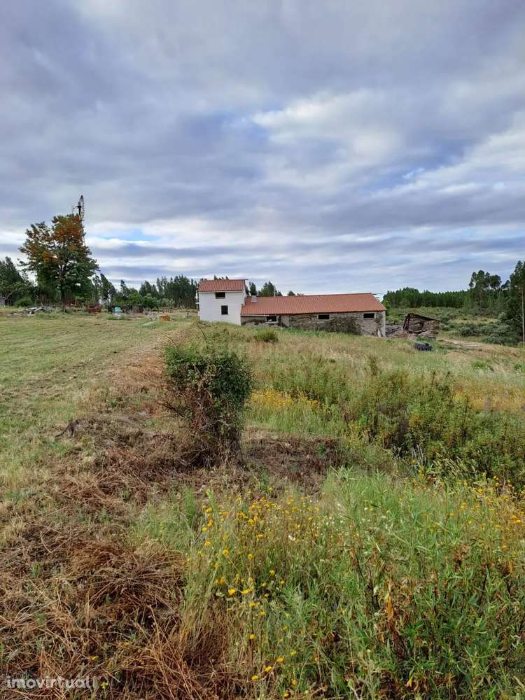 Quinta com 71280 m2  em Palvarinho, Castelo Branco - Grande imagem: 3/27