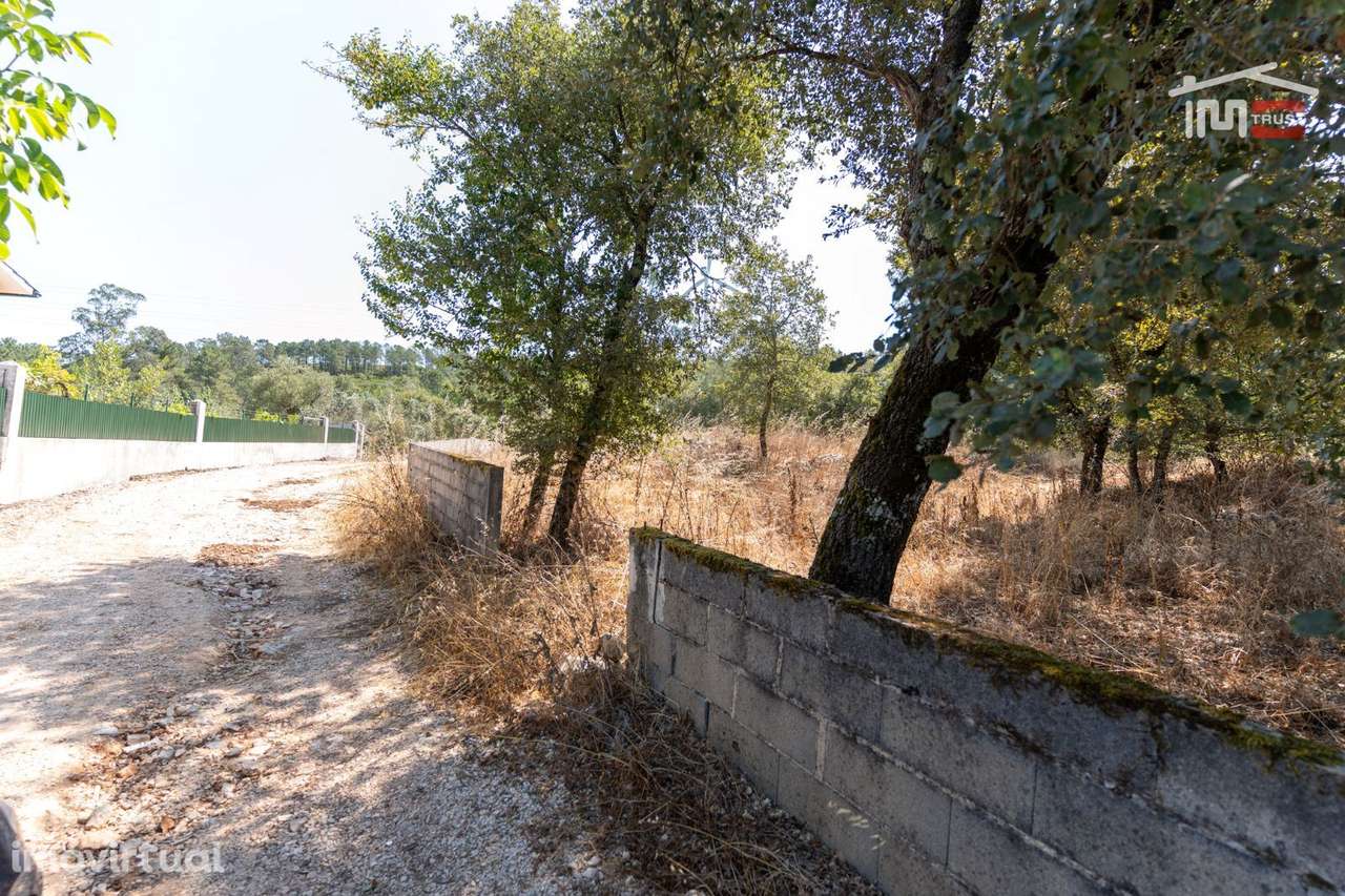 Terreno Rústico Murado em Barreiro Grande, S. Mamede - Grande imagem: 4/8