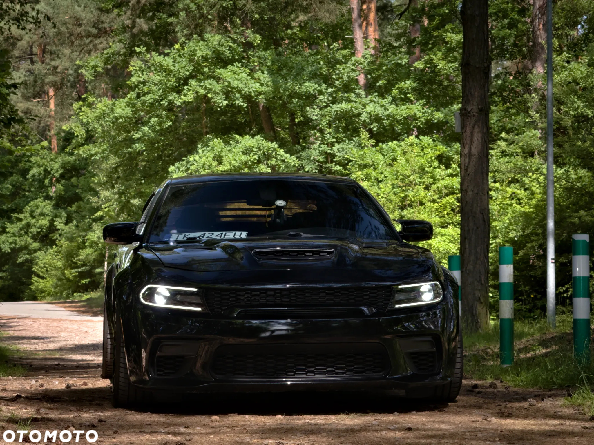 Dodge Charger 6.4 Scat Pack Widebody - 12