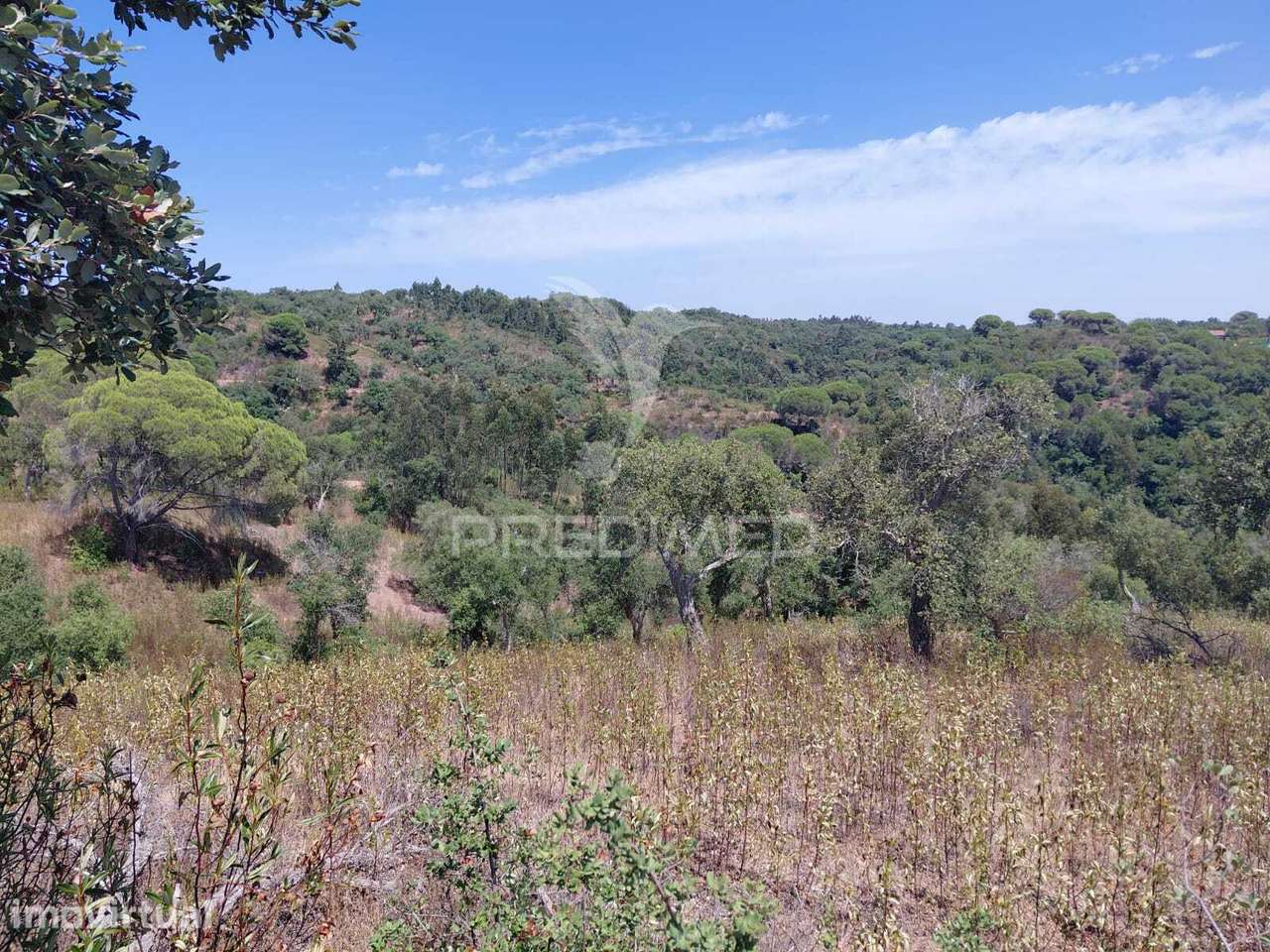 Herdade a 15 minutos da Lagoa de S.André. - Grande imagem: 4/7