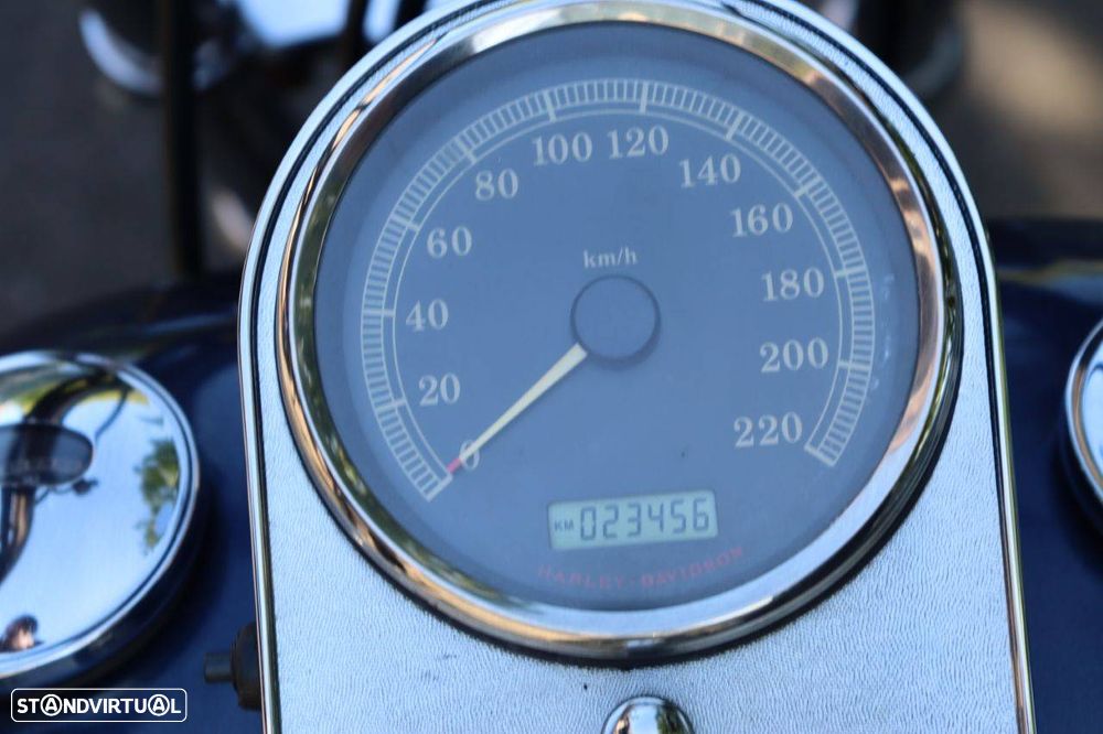 Harley-Davidson Softail Custom - 7