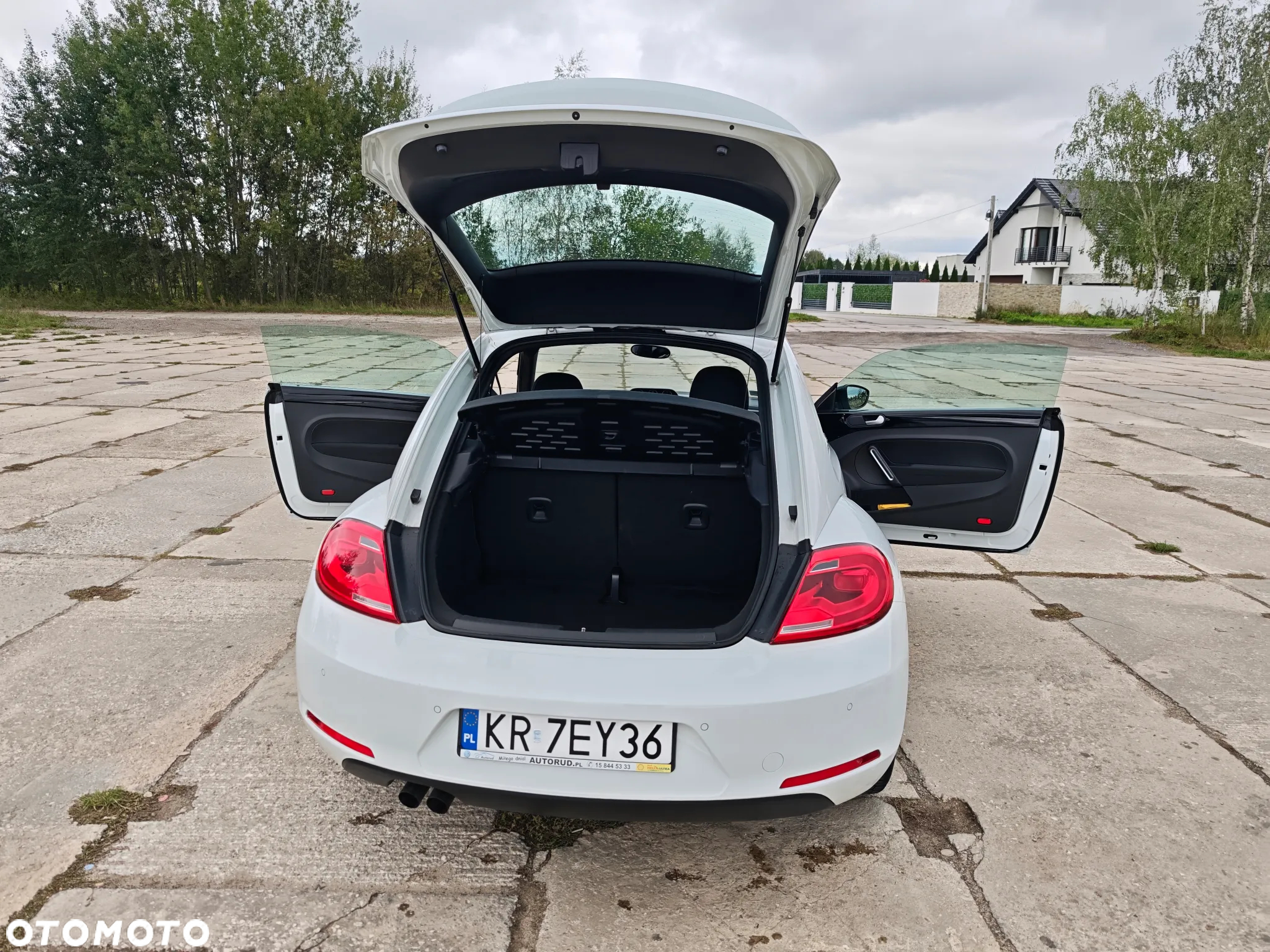 Volkswagen Beetle - 9