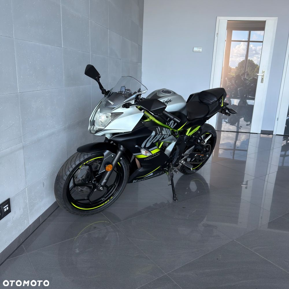 Kawasaki Ninja - 7