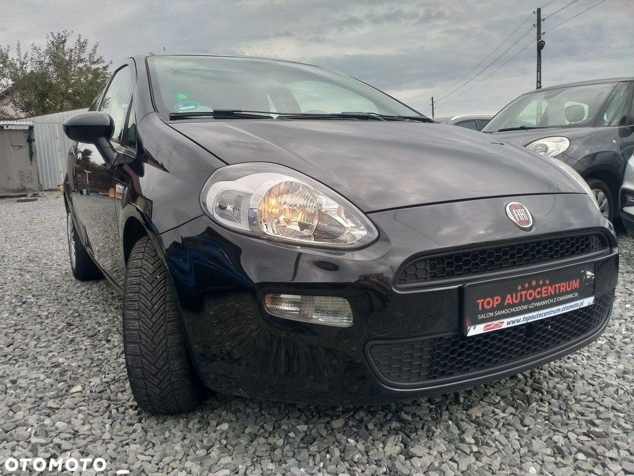 Fiat Punto 2012 - 8